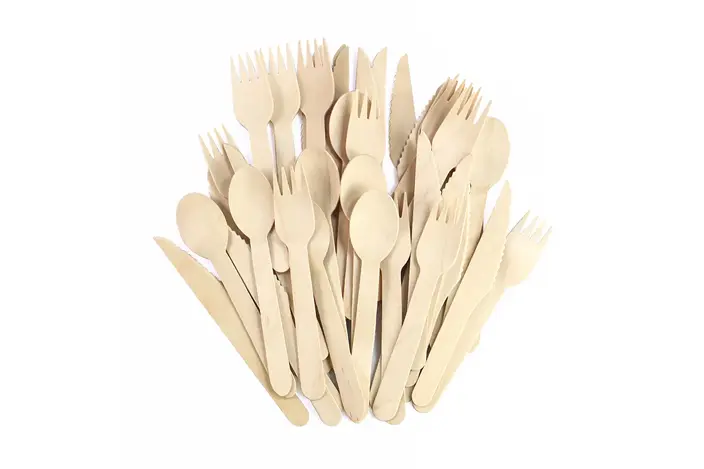 Disposable Cutlery