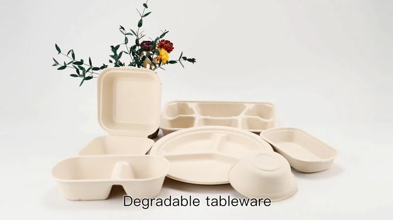 Biodegradable Sugarcane Pulp Food Containers