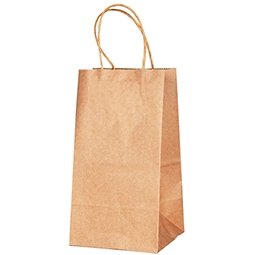 Paper Bags with Handle