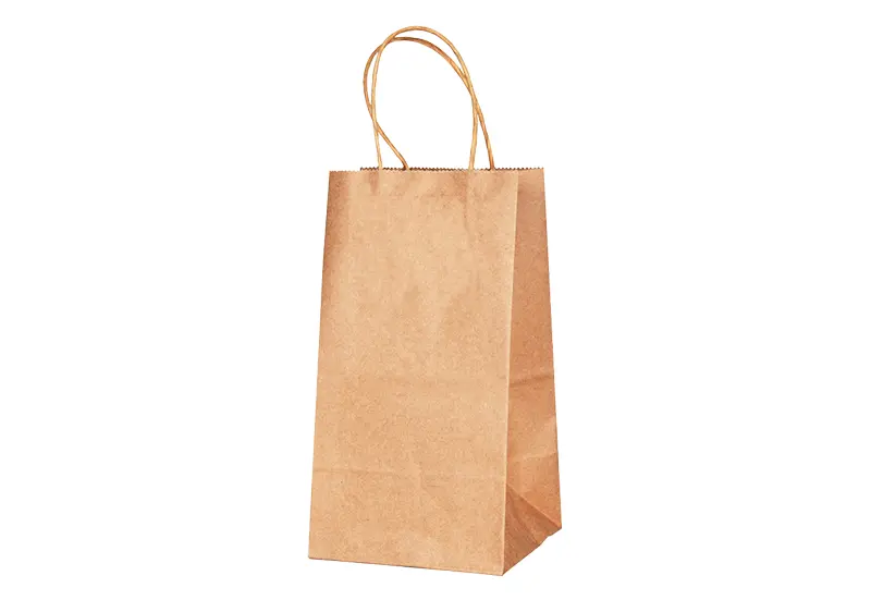 Paper Bags with Handle