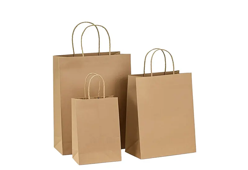 Paper Bags with Handle