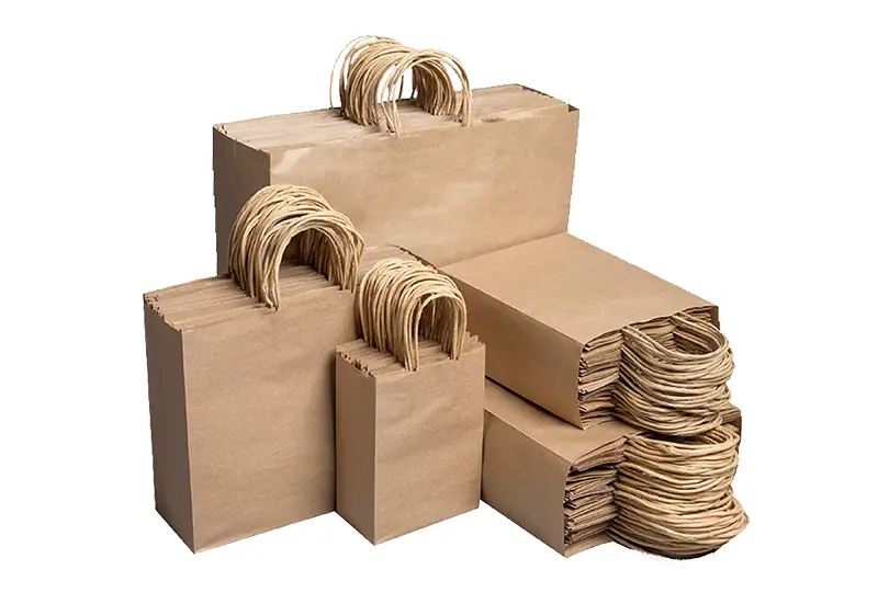 Paper Bags with Handle