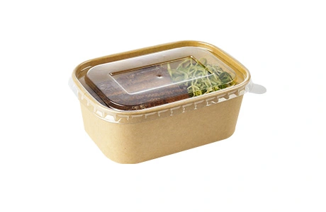 500ml Rectangular Lunch Box with Lid