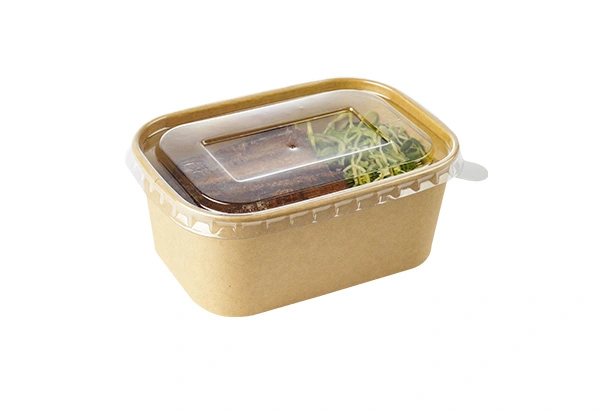 500ml Rectangular Lunch Box with Lid