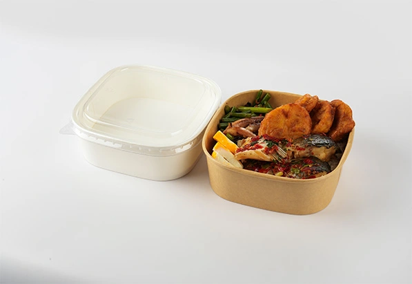 750ml Fast Food Pack Bento Box