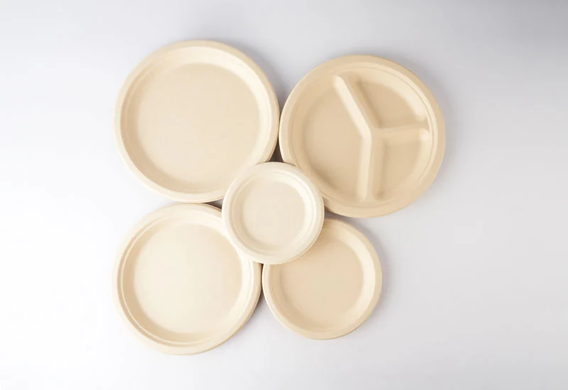 6-Inch Round Sugarcane Pulp Tray