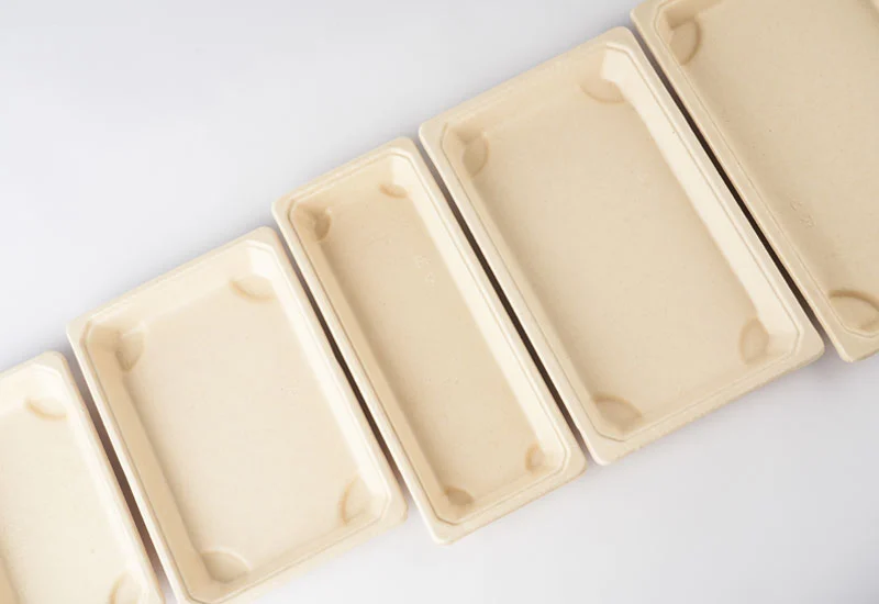 Biodegradable Sugarcane Pulp Tray With Lid