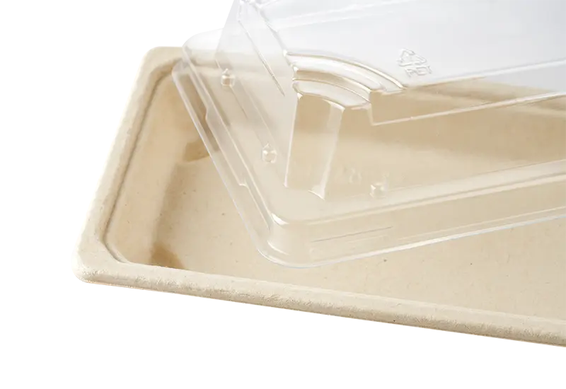 Sugarcane Pulp Tray With Lid