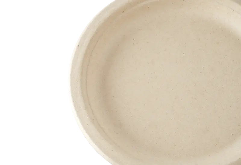 9-inch Sugarcane Pulp Plate