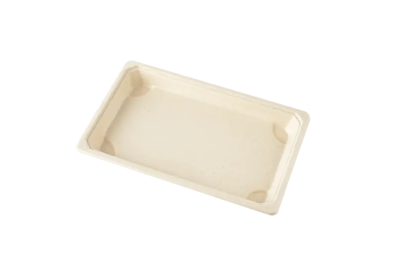 Customizable Waterproof And Oilproof Sugarcane Pulp Disposable Tray