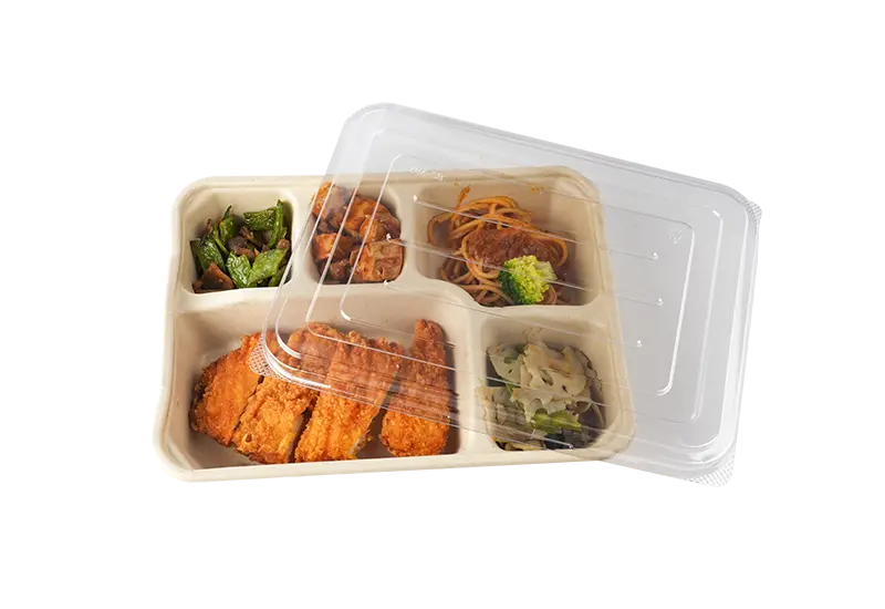 5 Compartments Of Sugarcane Pulp Food Packaging