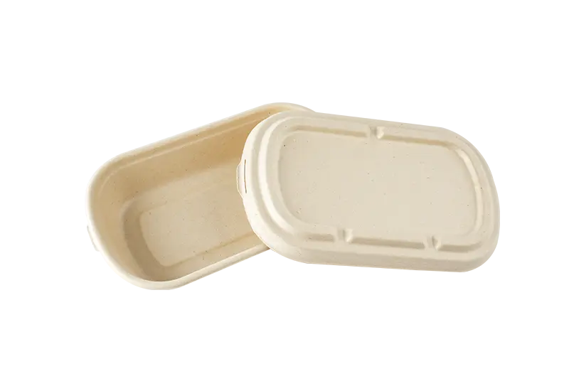 Biodegradable Rectangular Food Container