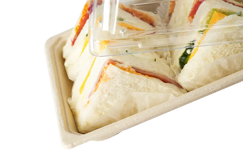 Biodegradable Sugarcane Pulp Tray With Lid