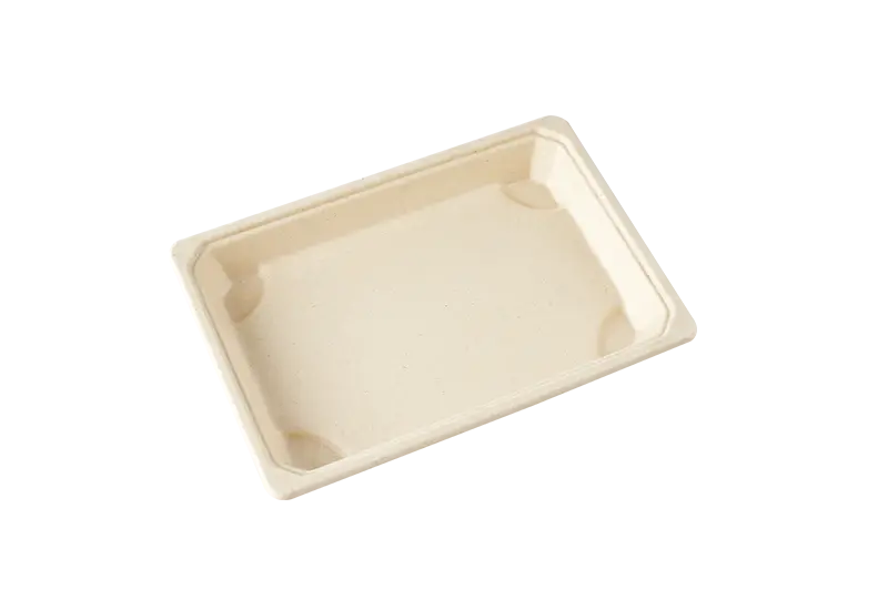 Biodegradable Sugarcane Pulp Tray With Lid