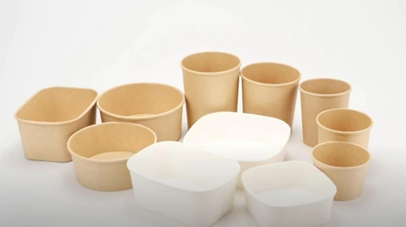 Eco-Friendly Paper Food Containers