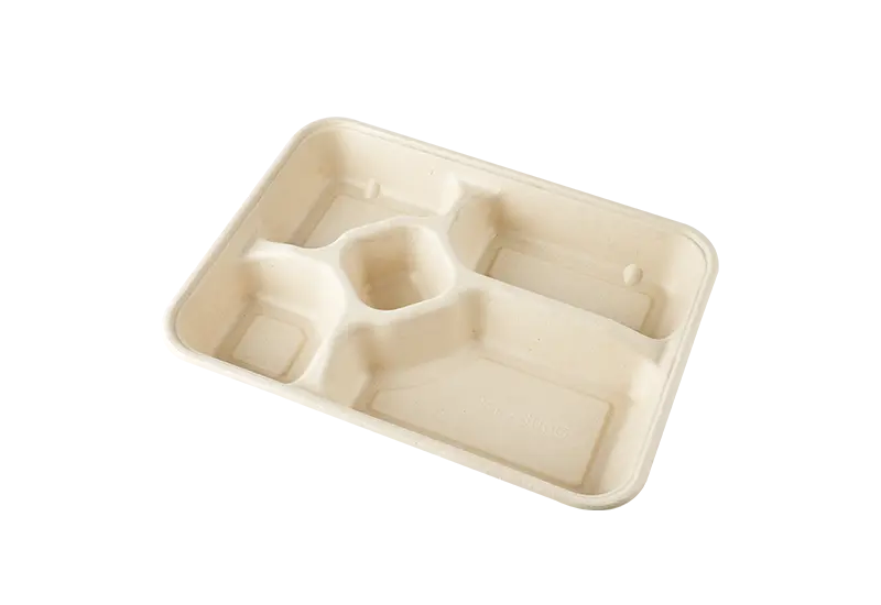 Specially Designed Sugarcane Pulp Food Packing Box