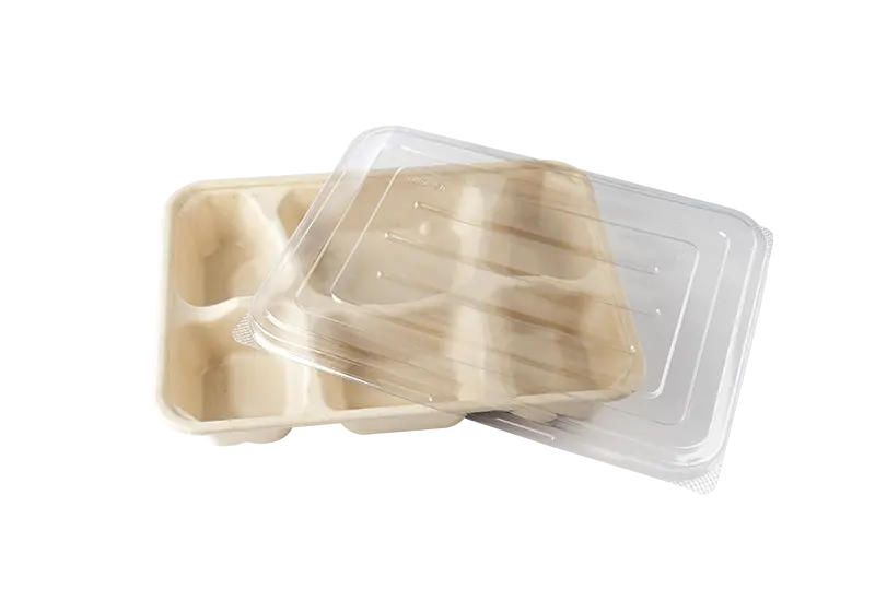 6 Compartments Food Containers With Lid