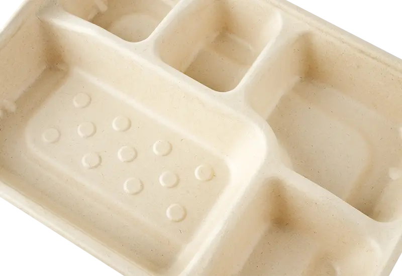 5 Compartments Of Sugarcane Pulp Food Packaging