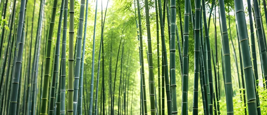 The Production Process Of Bamboo Straw