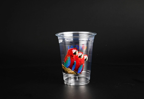 Personal Ustom PET Cup With Parrot Logo