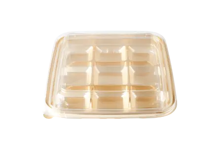 9-compartment Disposable Plastic Baking Box