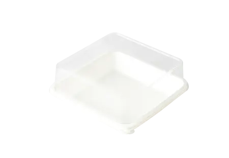 Clear Bakery Pastry Plastic Box