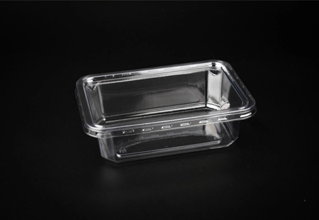 Transparent Plastic Bread Box With Lid