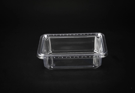 Transparent Plastic Bread Box With Lid