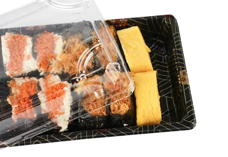 Large Plastic Sushi Contianer