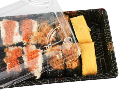 Plastic Sushi Box