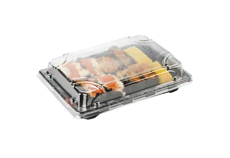 Plastic Sushi Box