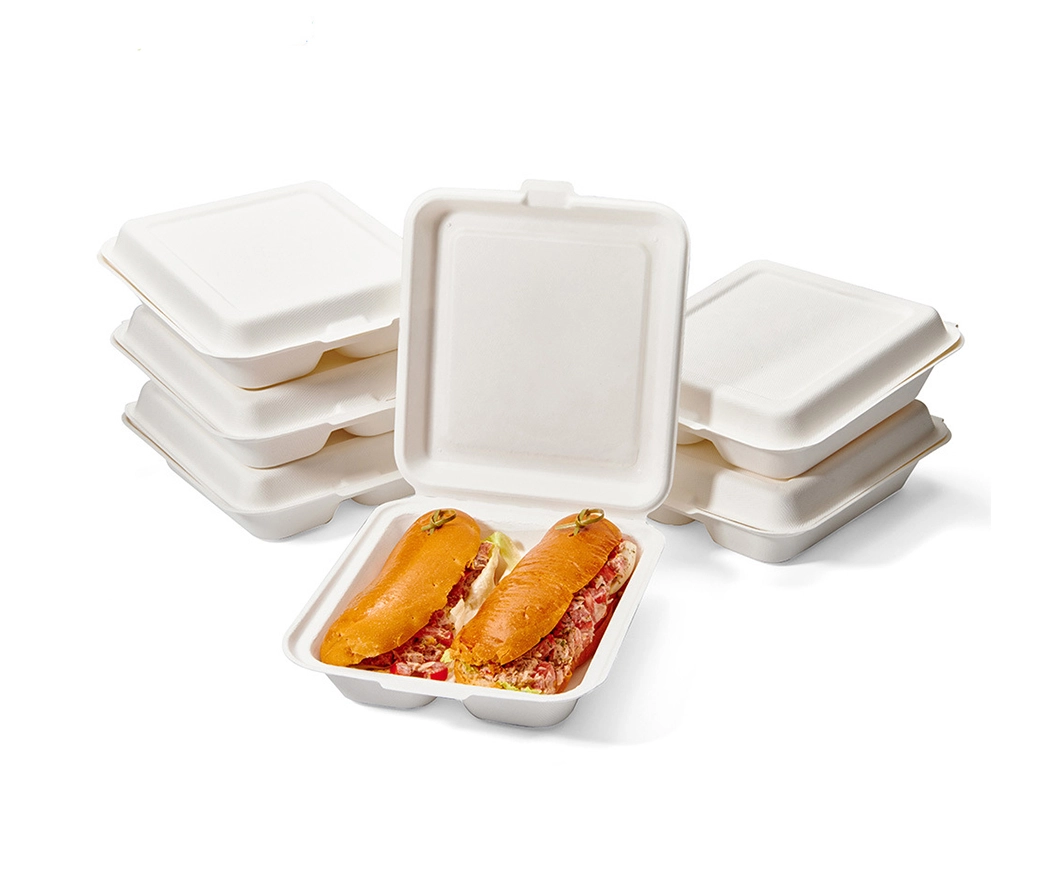 Bagasse Packaging