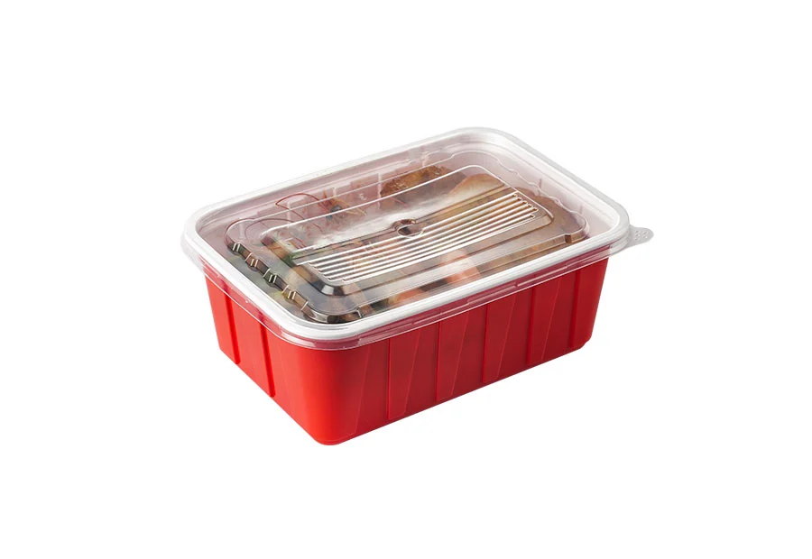 Red Large Rectangle Plastic Box