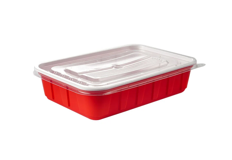 Red Small Rectangle Plastic Box