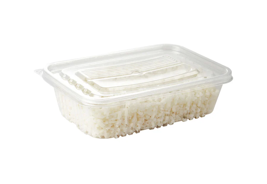 Transparent Small Plastic Lunch Box