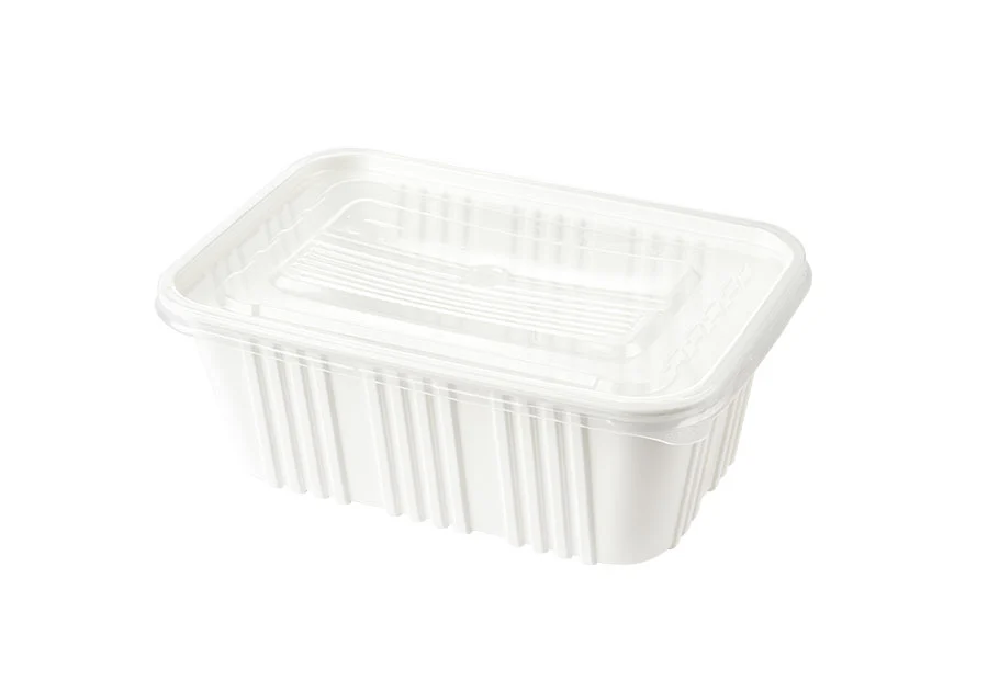 White Large Plastic Lunch Box