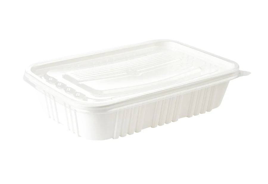 White Small Rectangle Plastic Container