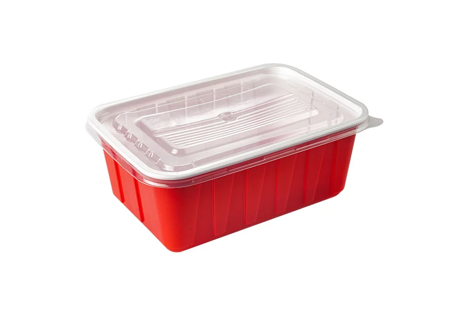 Red Large Rectangle Plastic Box