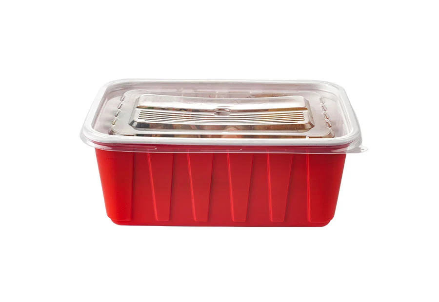 Red Large Rectangle Plastic Box