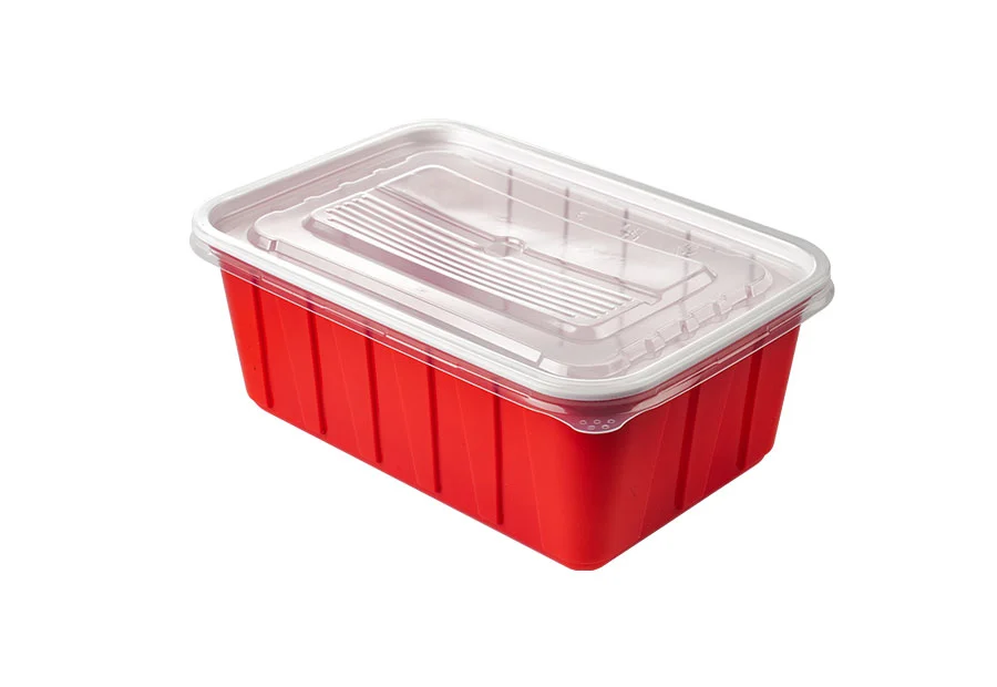 Red Large Rectangle Plastic Box