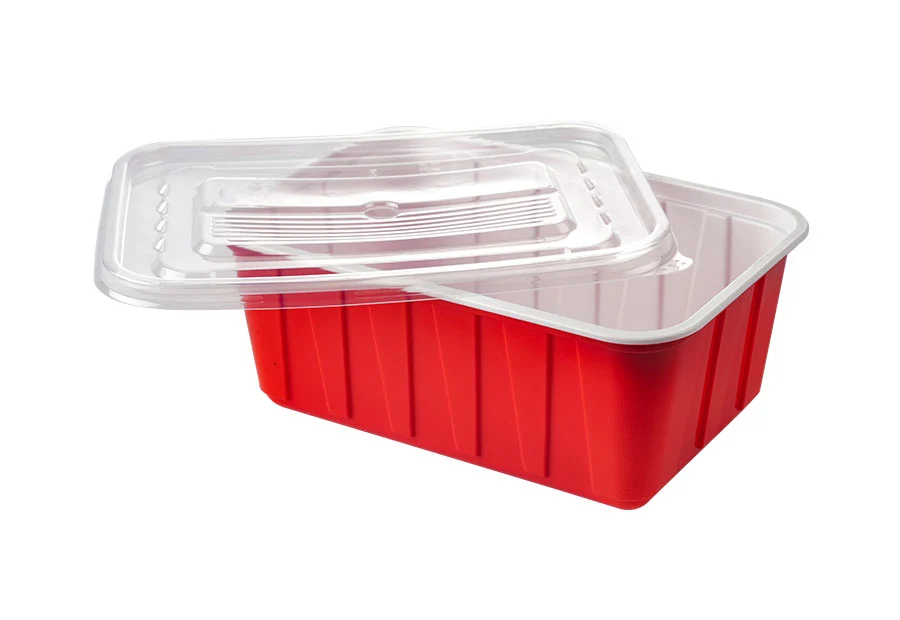 Red Large Rectangle Plastic Box