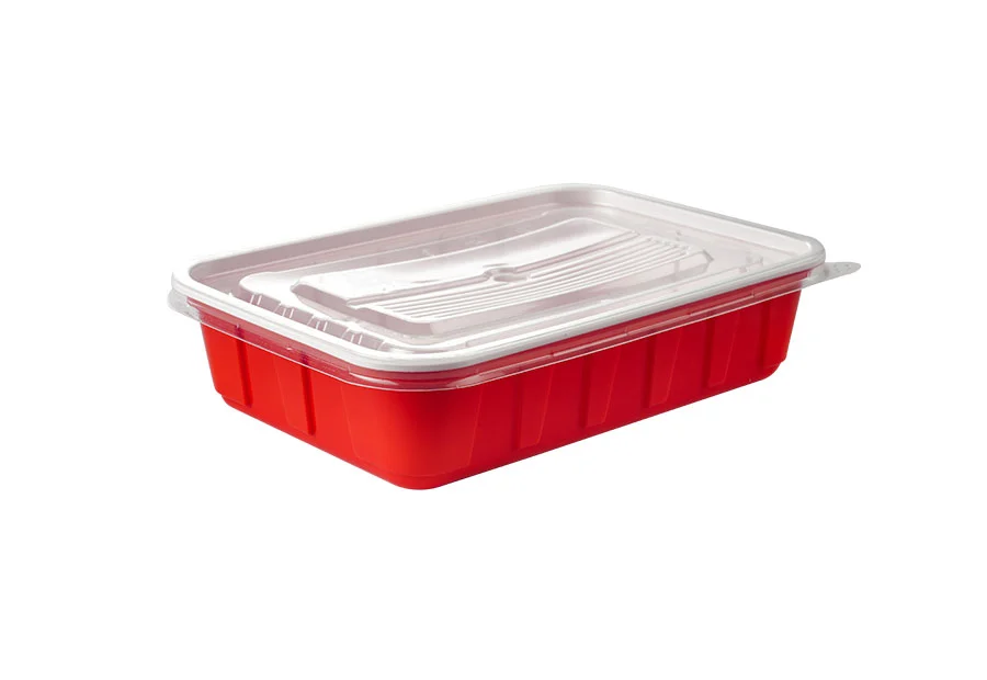 Red Small Rectangle Plastic Box