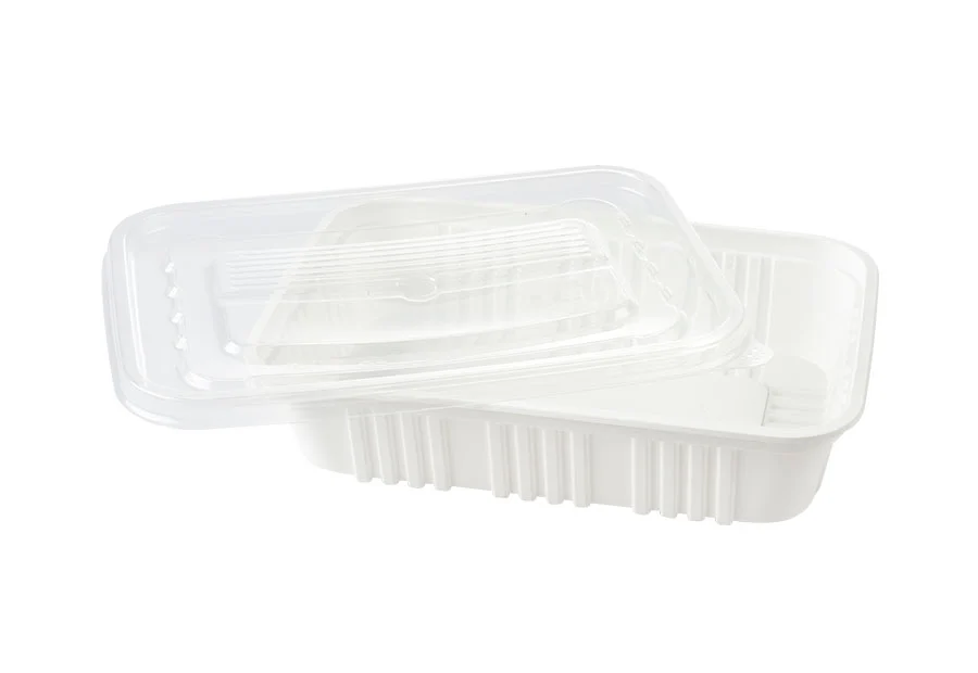 White Small Rectangle Plastic Container