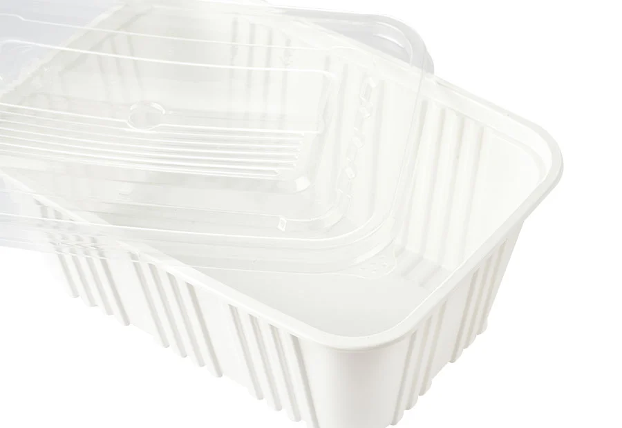 White Small Rectangle Plastic Container