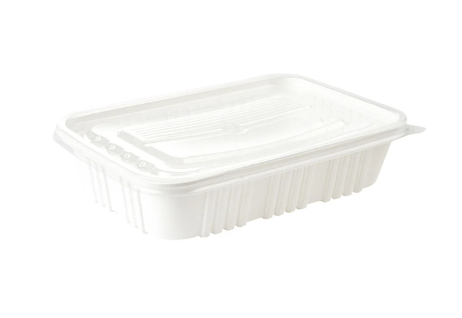 White Small Rectangle Plastic Container