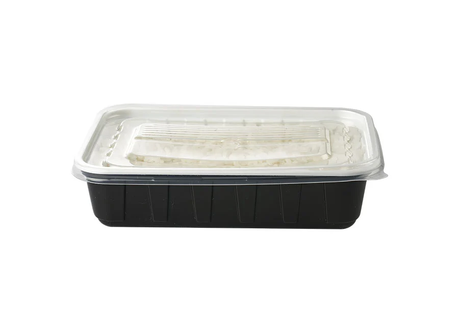 Black Large Plastic Lunch Box