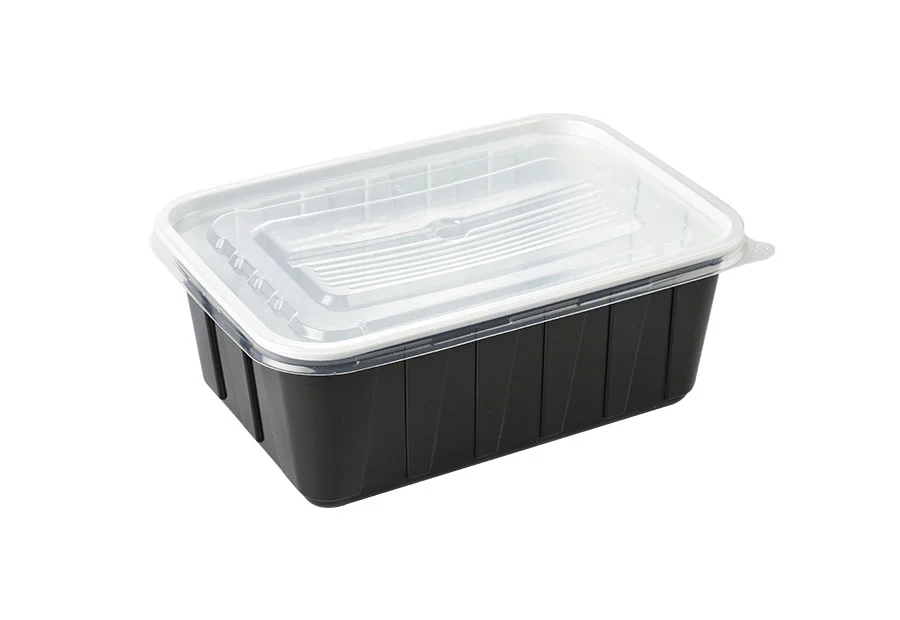 Black Large Plastic Lunch Box