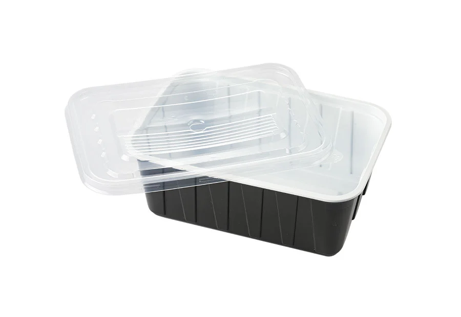 Black Large Plastic Lunch Box