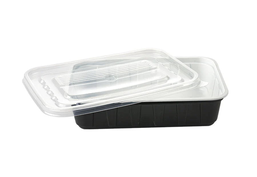 Black Small Plastic Lunch Box