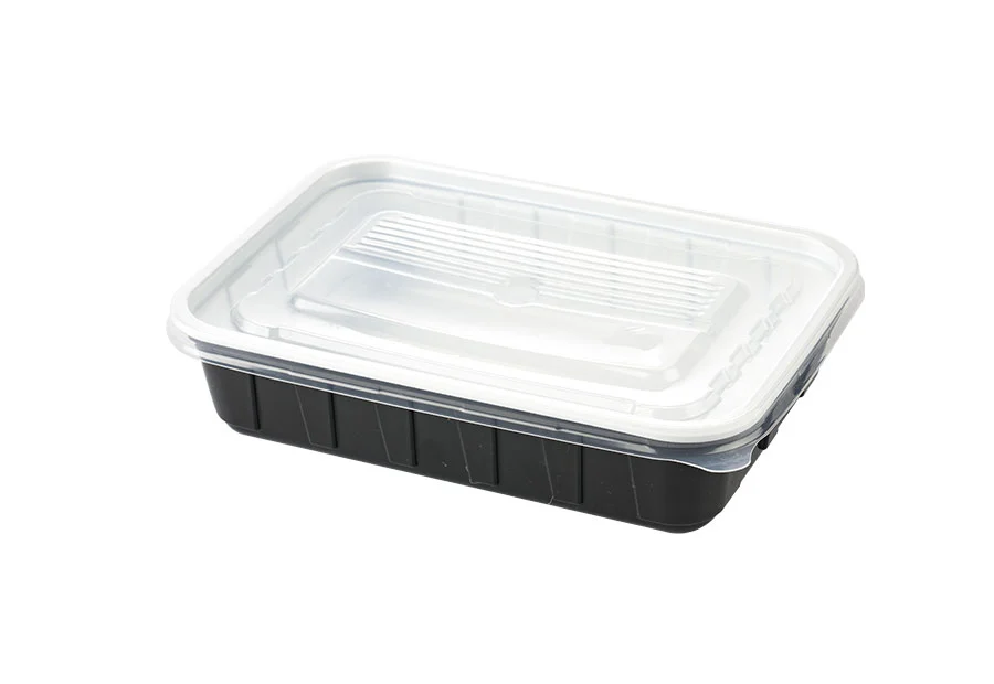 Black Small Plastic Lunch Box